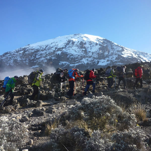6 Days Kilimanjaro trekking via Machame Route + 2 nights hotel stay