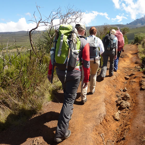 7 Days Kilimanjaro Climb-Rongai Route + 2 night hotel stay