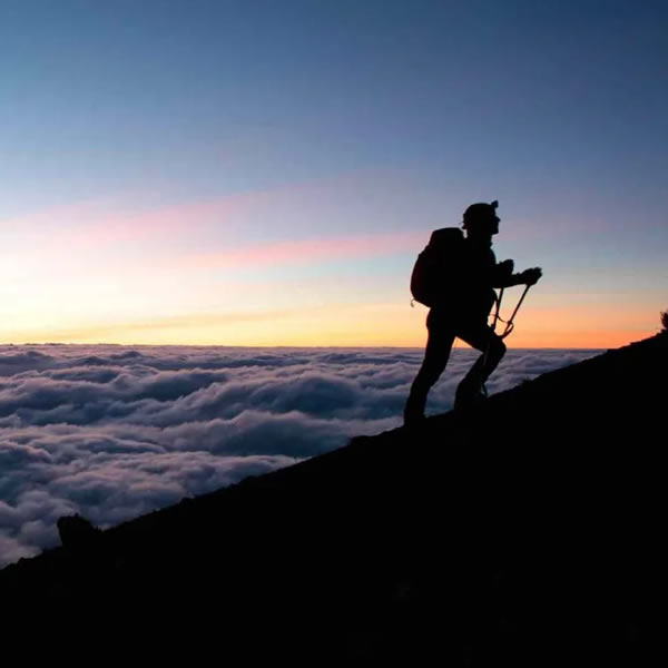 7 Day Kilimanjaro Trek via Lemosho route + 2 nights hotel stay