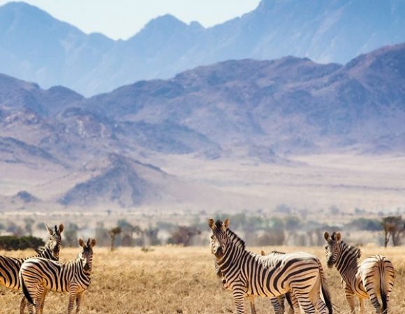 6 days Call of wildlife safari in Tanzania