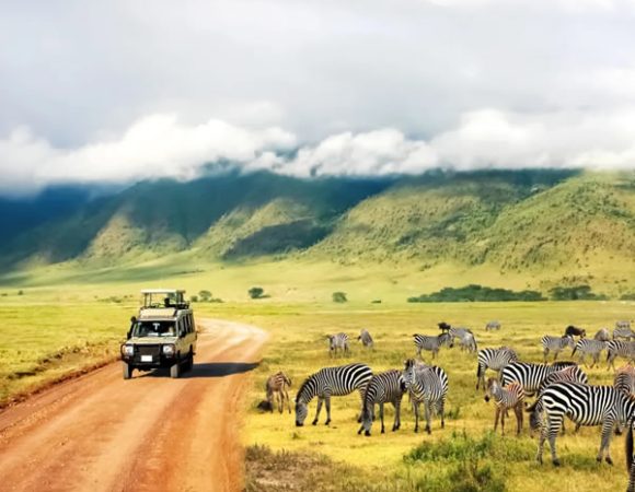 5 days: Serengeti Fly-in Safari